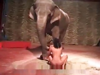 Hottie fucking a dildo in front of an elephant