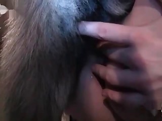 Horny dog slowly plowing that pussy