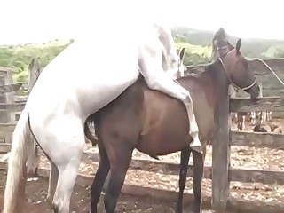 Horse fucked his sweet girlfriend in the doggy style