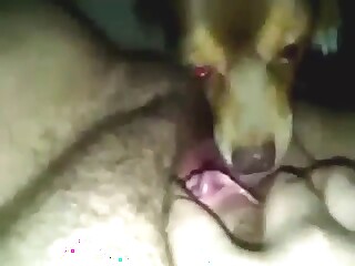 Crazy zoophile pleasure with lots of hot licking