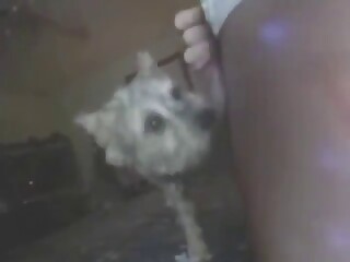 Thin and sexy dog wants to lick hard cock