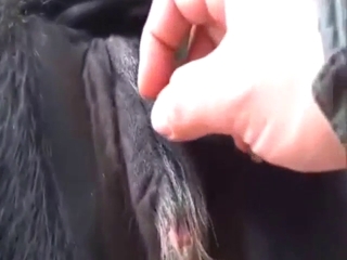 Cow vag is going to get fingered by a hot dude