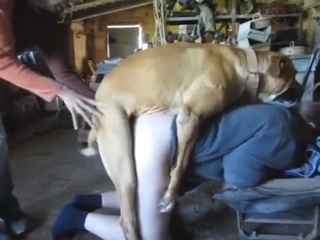 Pale-skinned animal lover fucked by a hot mutt