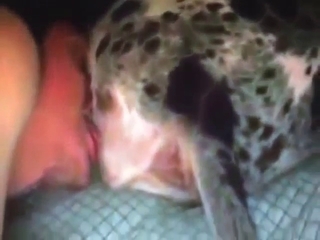 Beast lover is going to love eating kitty cunt