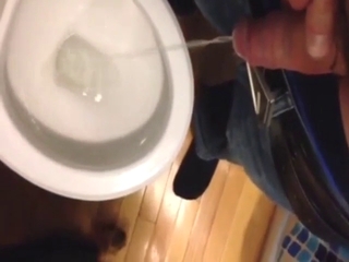 Dog has a piss fetish and loves licking his dick