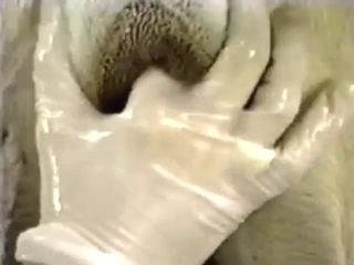 Dane is going to be inseminated in this XXX vid