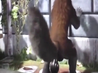 Zoophile cartoon with a dog that loves dildos