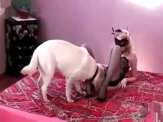 xtube sex with animals movies