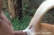 Xvideos Zoo