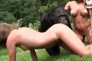 Zoo Sex Lol